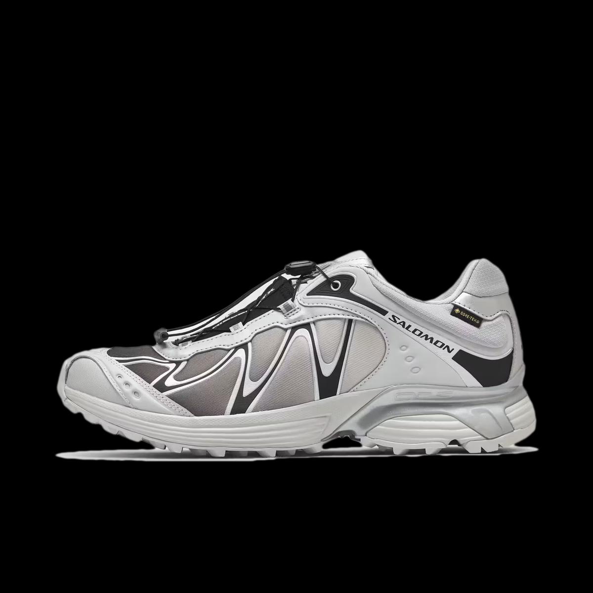 Salomon XT-Whisper GTX 'Gray Violet'