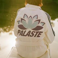 The adidas x Palace Palaste Collection Lands on Friday